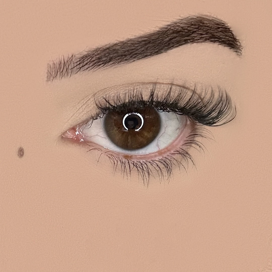natural false eyelashes for everyday wear lightweight wispy look