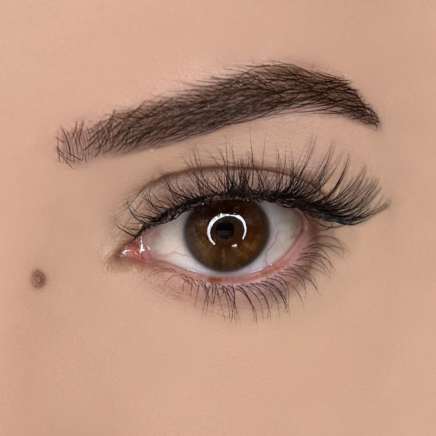 natural false eyelashes for everyday wear lightweight wispy look