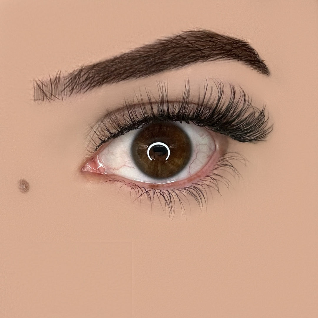 natural false eyelashes for everyday wear lightweight wispy look